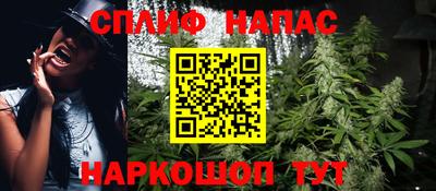 спиды Сланцы