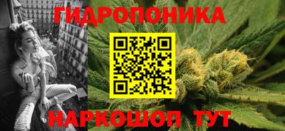 спиды Сланцы