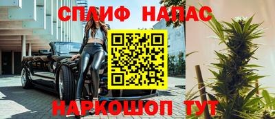 стаф Славгород