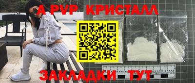 спиды Сланцы