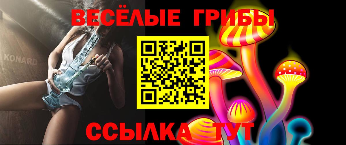 Псилоцибиновые грибы Psilocybine cubensis  закладки  Сатка  Вход с VPN  Псилоцибиновые грибы GOLDEN TEACHER 